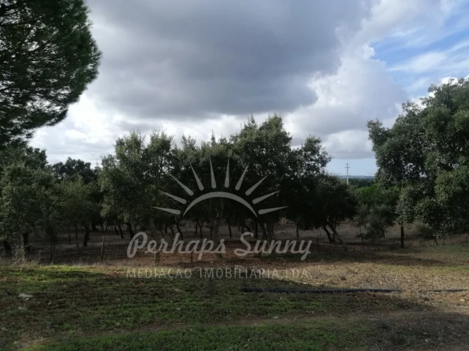 Terreno Misto para Venda em Santiago do Cacém, Santa Cruz e São Bartolomeu da Serra Foto 21