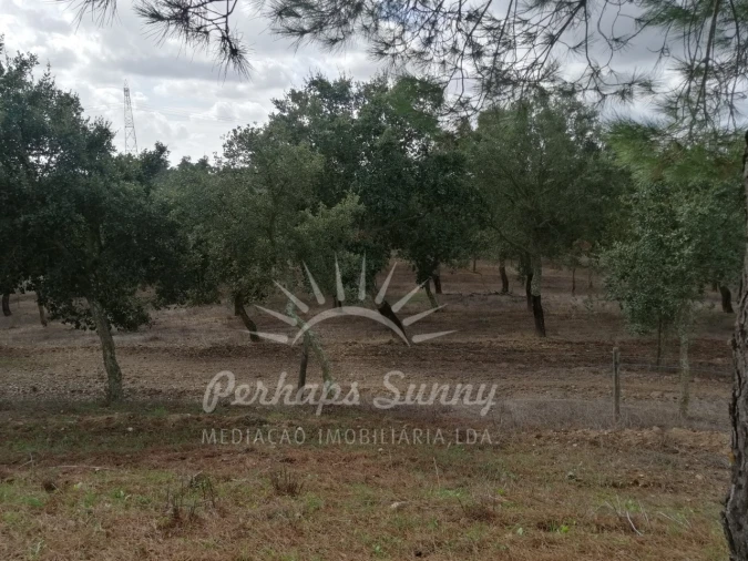 Terreno Misto para Venda em Santiago do Cacém, Santa Cruz e São Bartolomeu da Serra Foto 23