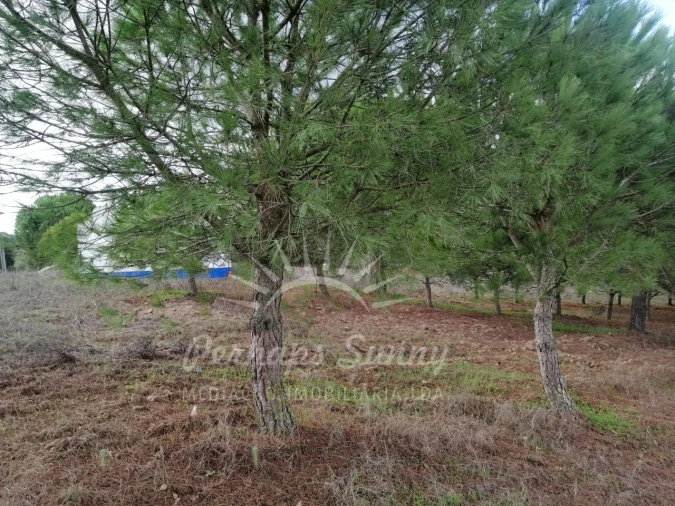 Terreno Misto para Venda em Santiago do Cacém, Santa Cruz e São Bartolomeu da Serra Foto 28