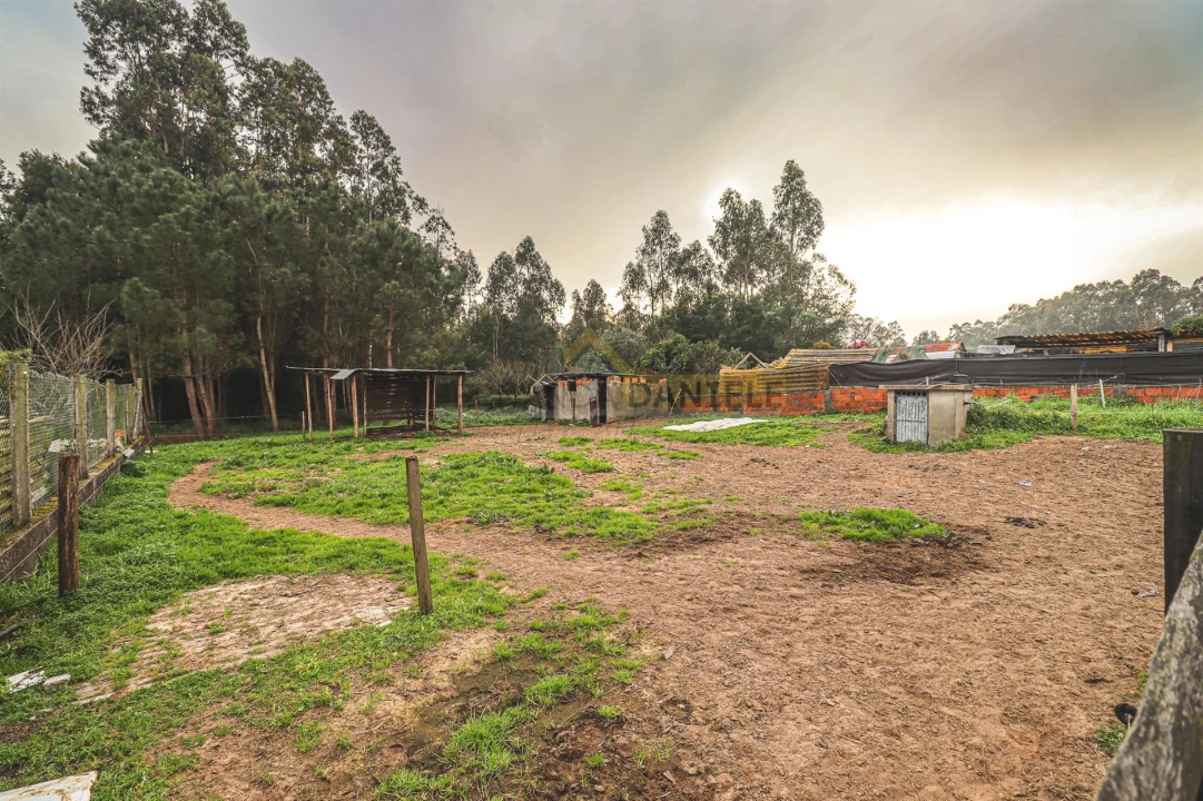 Terreno Agricola ou Rústico para Venda em Avanca Foto 11