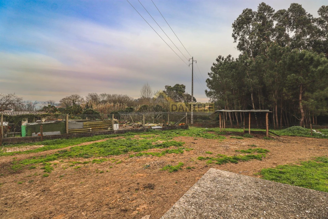 Terreno Agricola ou Rústico para Venda em Avanca Foto 13