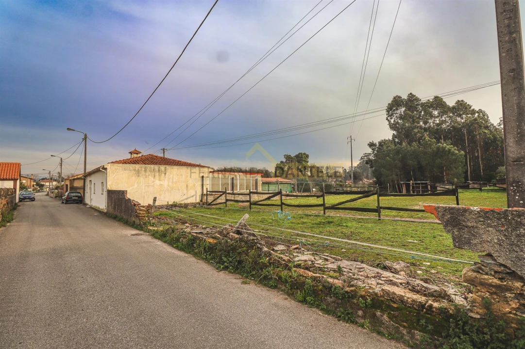 Terreno Agricola ou Rústico para Venda em Avanca Foto 15