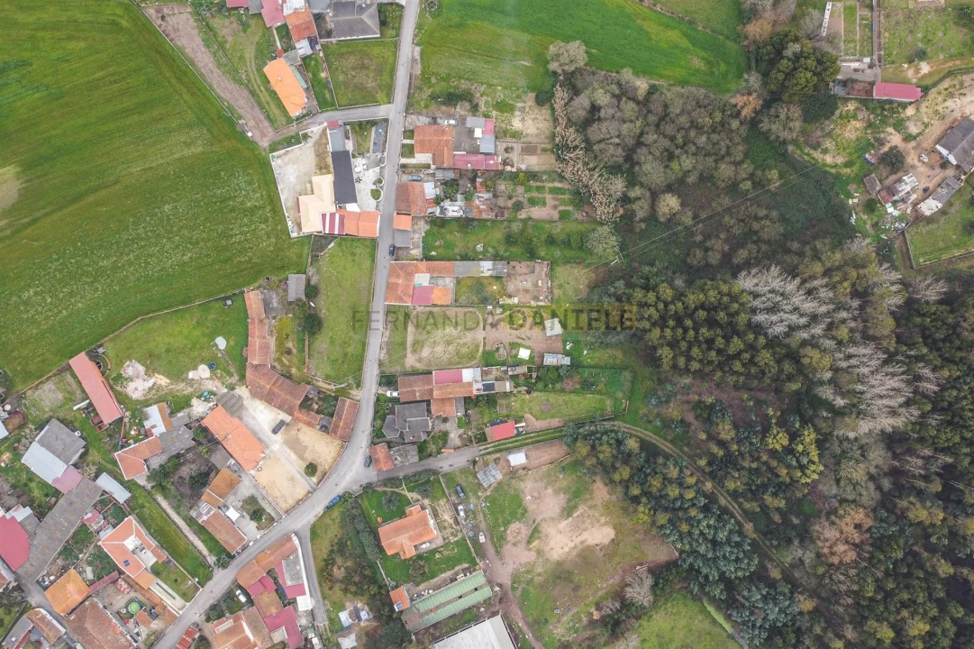 Terreno Agricola ou Rústico para Venda em Avanca Foto 19