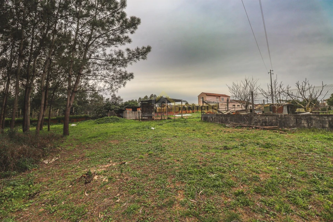 Terreno Agricola ou Rústico para Venda em Avanca Foto 2