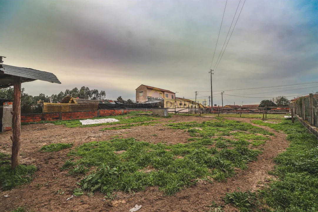 Terreno Agricola ou Rústico para Venda em Avanca Foto 4