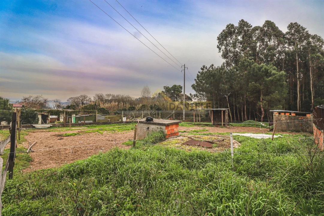Terreno Agricola ou Rústico para Venda em Avanca Foto 9
