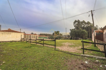 Terreno Agricola ou Rústico para Venda em Avanca