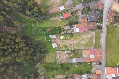 Terreno Agricola ou Rústico para Venda em Avanca