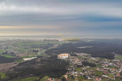 Terreno Agricola ou Rústico para Venda em Avanca