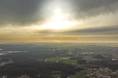 Terreno Agricola ou Rústico para Venda em Avanca