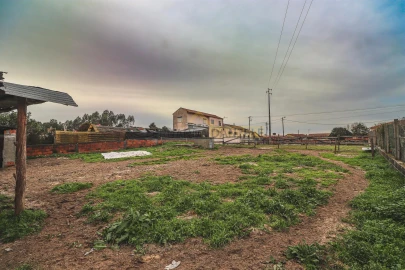Terreno Agricola ou Rústico para Venda em Avanca