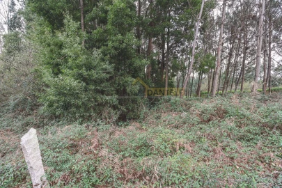 Terreno Agricola ou Rústico para Venda em Avanca