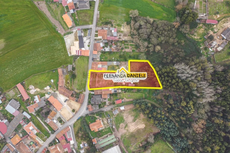 Terreno Agricola ou Rústico para Venda em Avanca