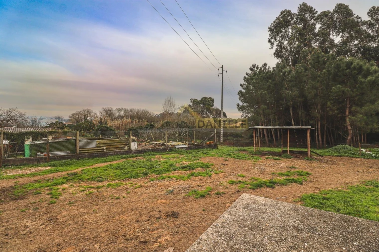Terreno Agricola ou Rústico para Venda em Avanca Foto 13