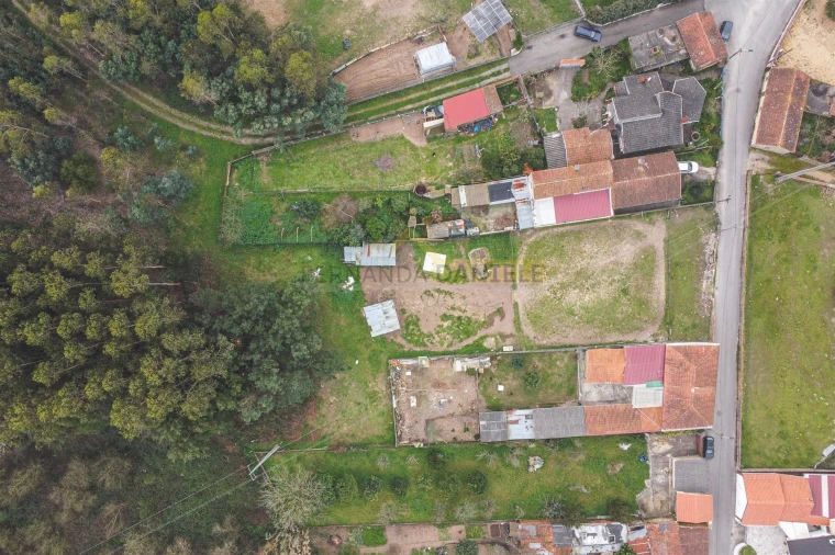 Terreno Agricola ou Rústico para Venda em Avanca Foto 17