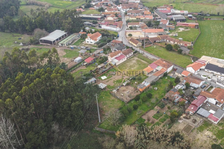 Terreno Agricola ou Rústico para Venda em Avanca Foto 18