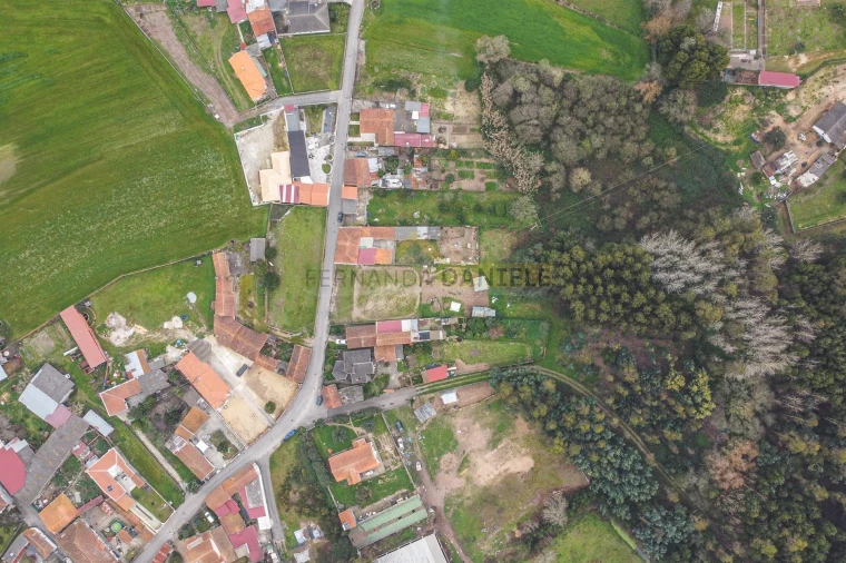 Terreno Agricola ou Rústico para Venda em Avanca Foto 19