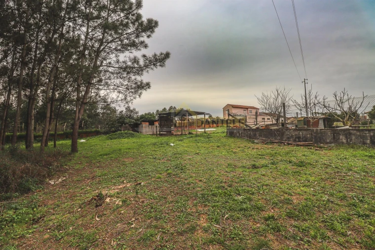 Terreno Agricola ou Rústico para Venda em Avanca Foto 2