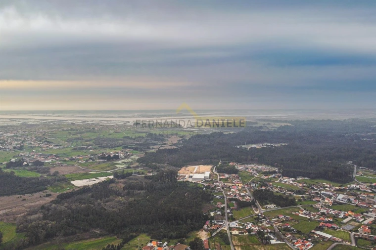 Terreno Agricola ou Rústico para Venda em Avanca Foto 22