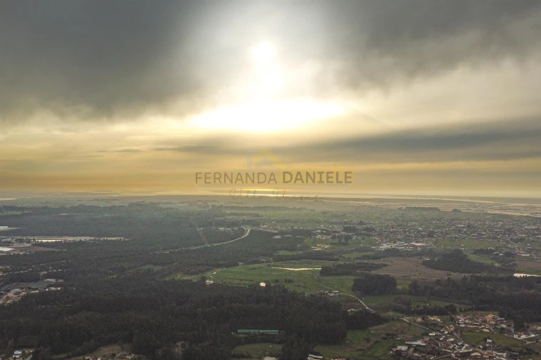 Terreno Agricola ou Rústico para Venda em Avanca Foto 23