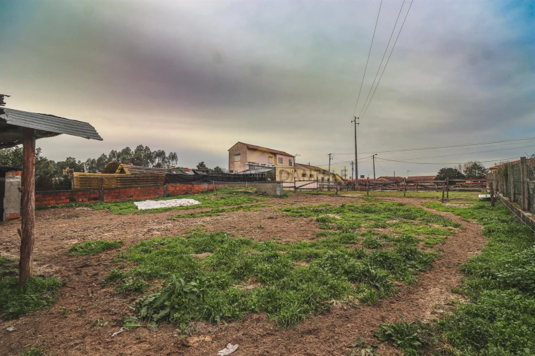 Terreno Agricola ou Rústico para Venda em Avanca Foto 4