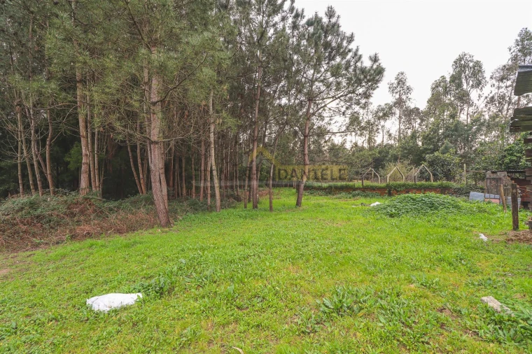 Terreno Agricola ou Rústico para Venda em Avanca Foto 5