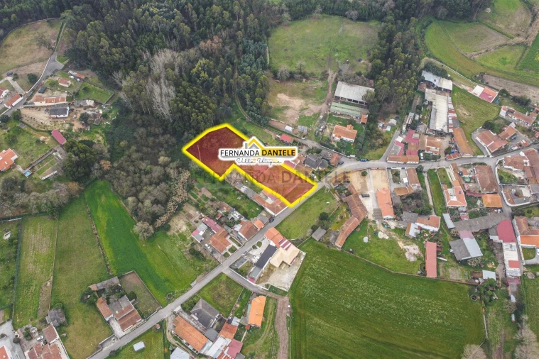Terreno Agricola ou Rústico para Venda em Avanca Foto 6