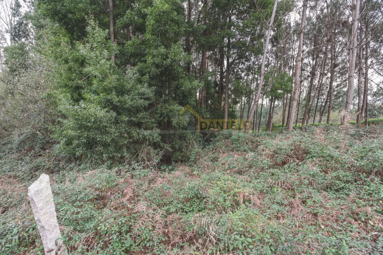 Terreno Agricola ou Rústico para Venda em Avanca Foto 7
