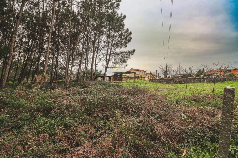 Terreno Agricola ou Rústico para Venda em Avanca Foto 8