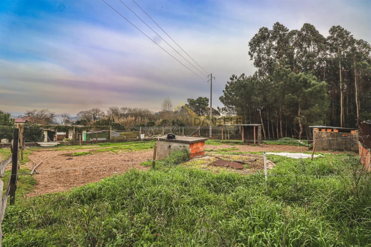 Terreno Agricola ou Rústico para Venda em Avanca Foto 9