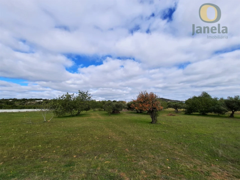 Quinta T2 para Venda em Santa Catarina da Fonte do Bispo Foto 4