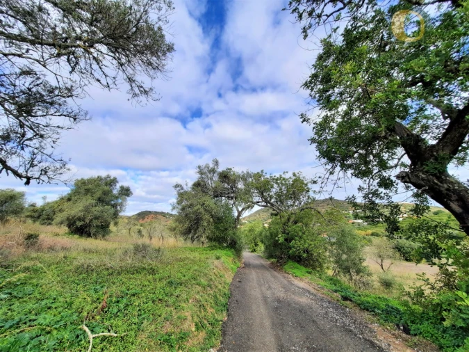 Quinta T2 para Venda em Santa Catarina da Fonte do Bispo Foto 3