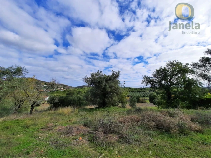 Quinta T2 para Venda em Santa Catarina da Fonte do Bispo Foto 5