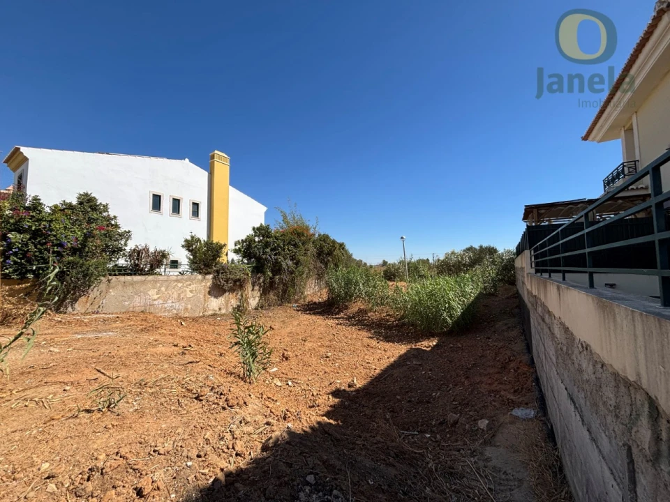 Terreno para Venda em Montenegro Foto 8