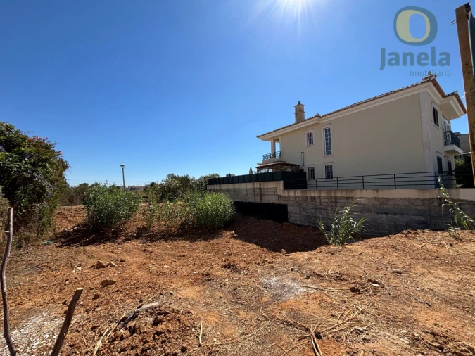 Terreno para Venda em Montenegro Foto 5