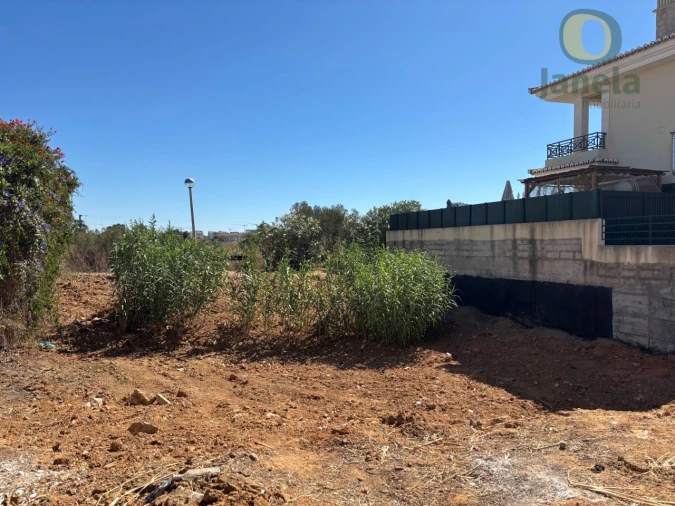 Terreno para Venda em Montenegro Foto 7