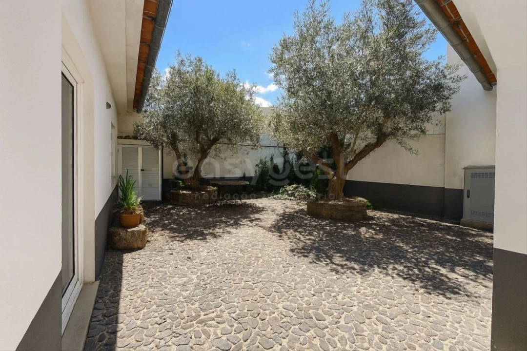 Moradia T3 para Venda em Torre de Moncorvo Foto 15