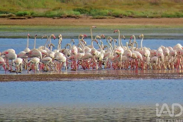 Moradia T3 para Venda em Salir de Matos Foto 20