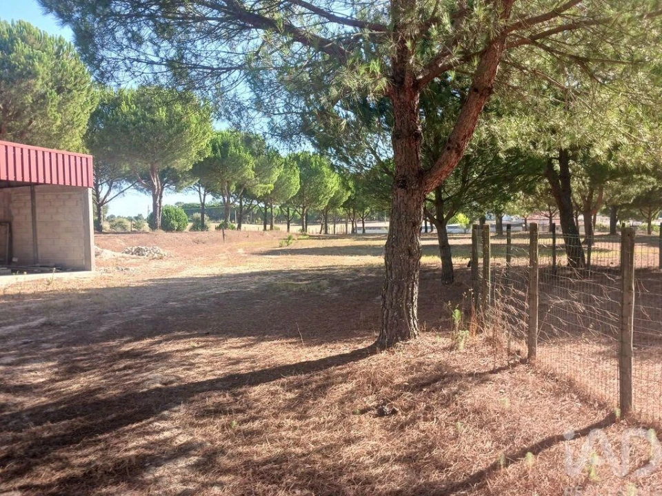 Quinta T4 para Venda em Branca Foto 29