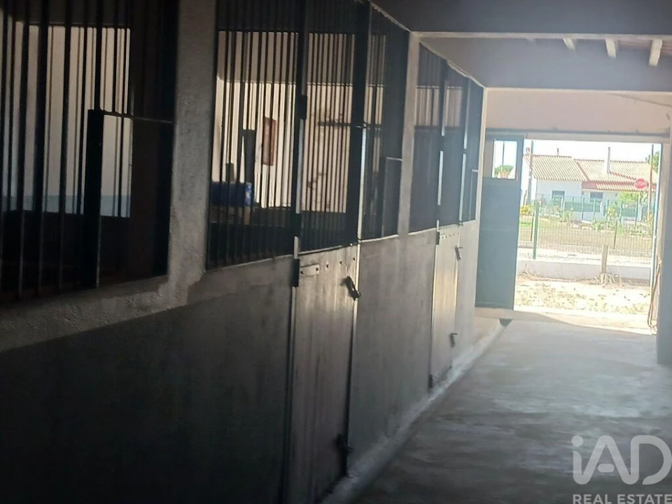 Quinta T4 para Venda em Branca Foto 22