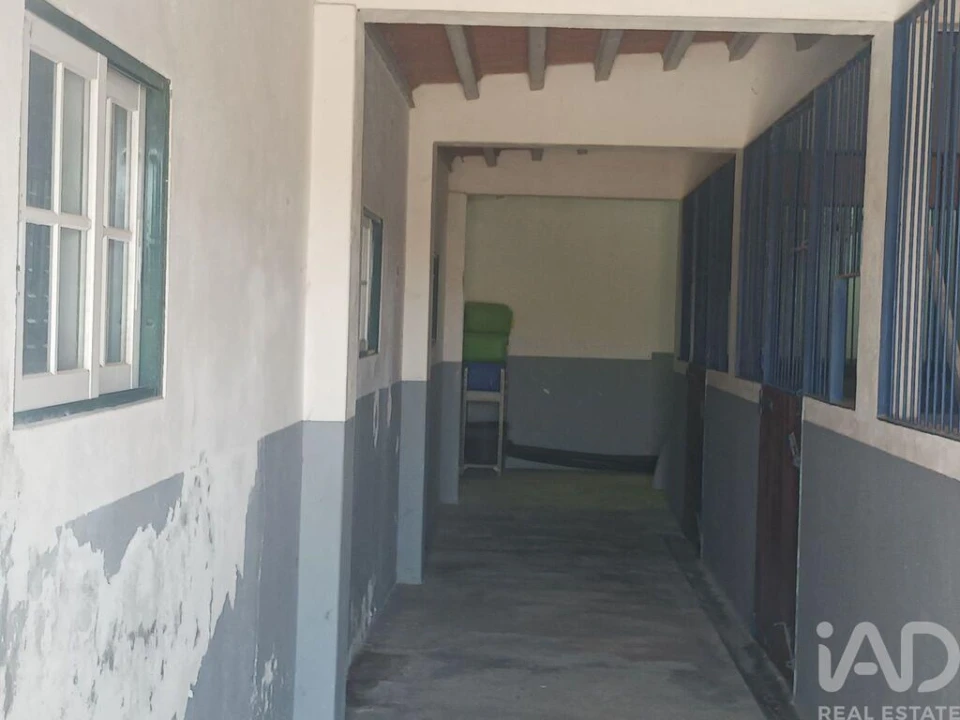 Quinta T4 para Venda em Branca Foto 23