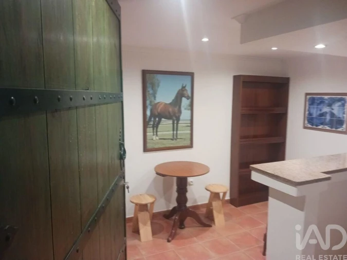 Quinta T4 para Venda em Branca Foto 10