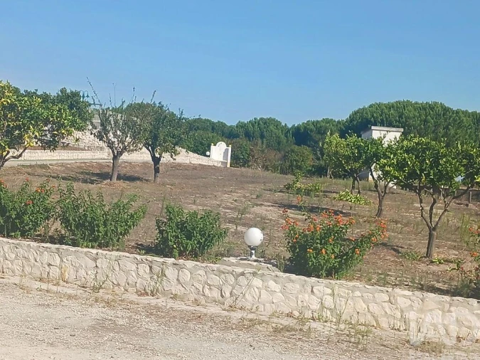 Quinta T4 para Venda em Branca Foto 16