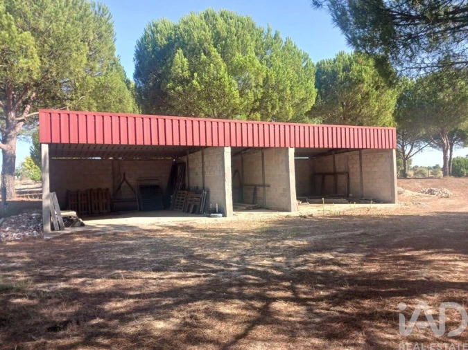 Quinta T4 para Venda em Branca Foto 30