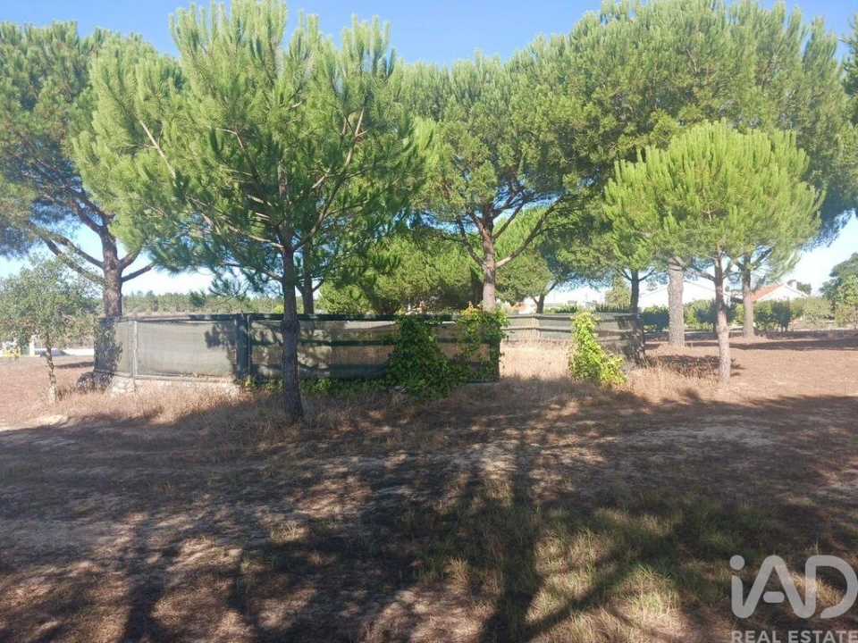 Quinta T4 para Venda em Branca Foto 27