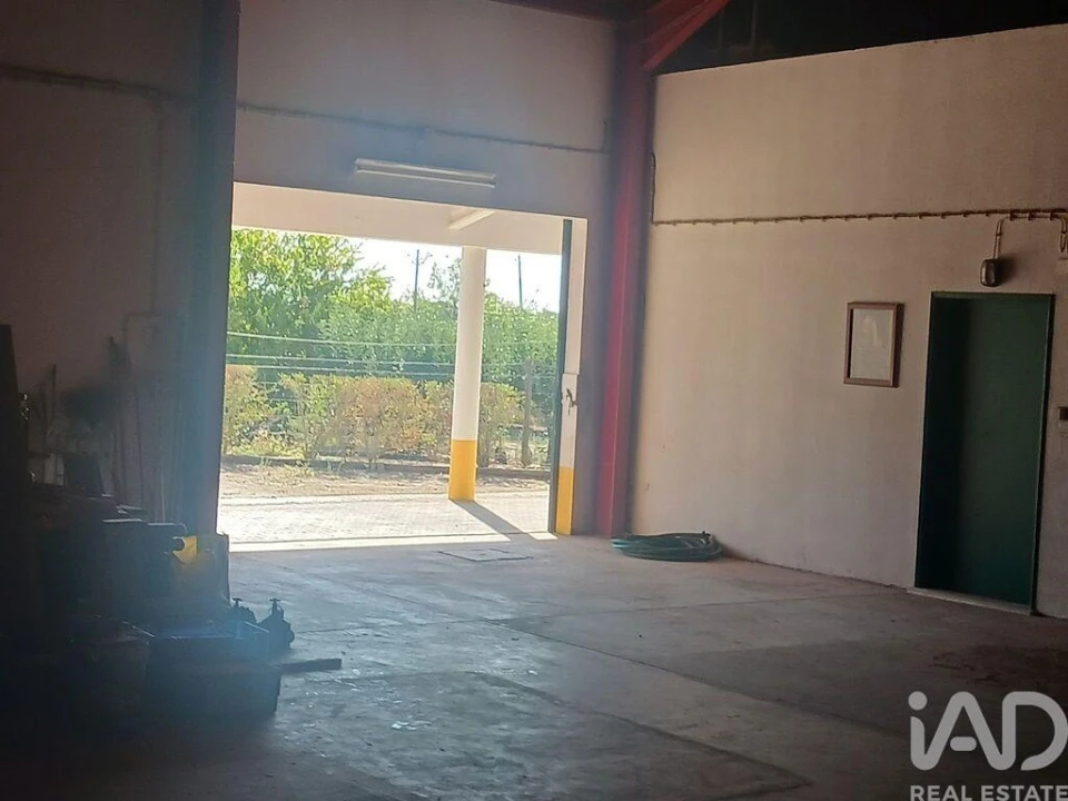 Quinta T4 para Venda em Branca Foto 21