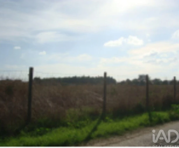 Terreno para Venda em Montijo e Afonsoeiro Foto 10