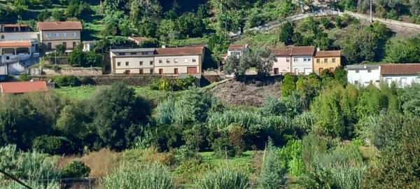 Terreno para Venda em Ceira