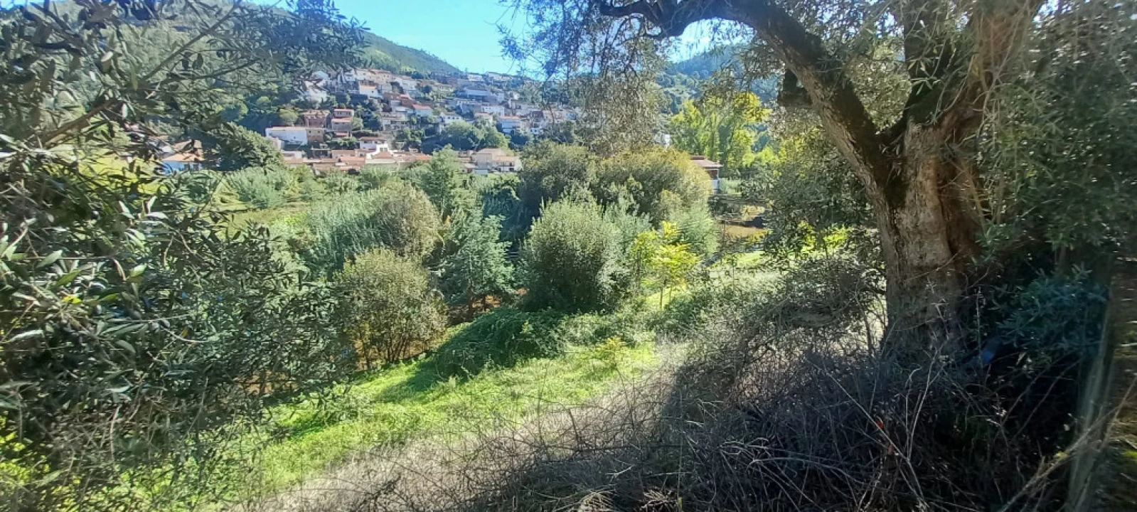 Terreno para Venda em Ceira Foto 3