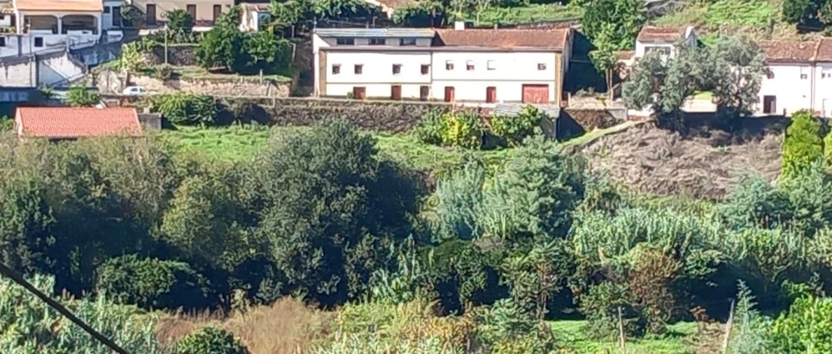 Terreno para Venda em Ceira Foto 6
